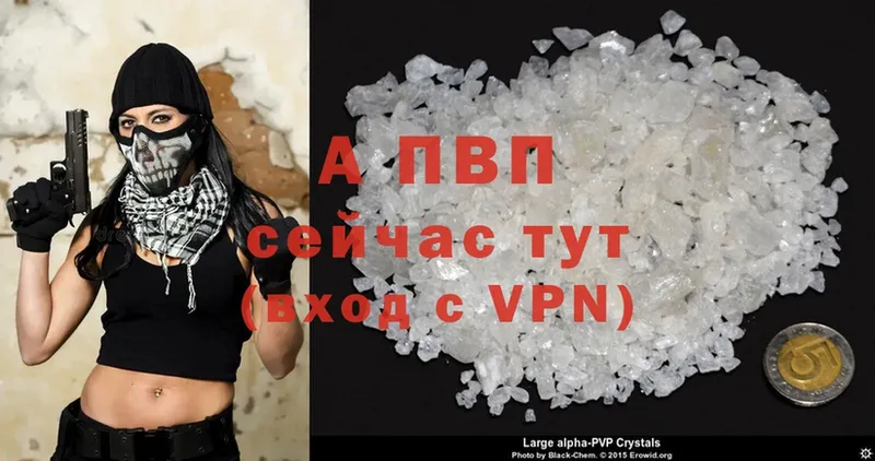 ОМГ ОМГ ONION  Белореченск  Alfa_PVP крисы CK  купить закладку 